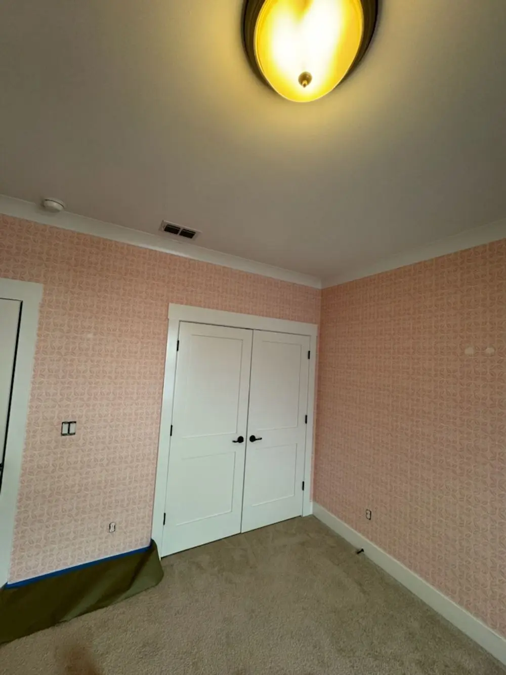 Texture Painting - North Florida Painters